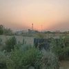 hamoody265