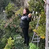 dani.bua