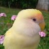 cielo_30032