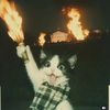 patronus24_pes
