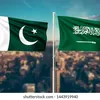imran9313111111