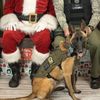 one_badass_k9dasy