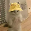 anaaaaaa12333