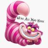 cheshire_559