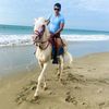 caballero94.0