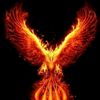 user4174402151544