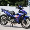 zhepy_stgp