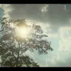 kochu.tiktok.com