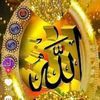 user13505397304712