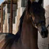 34__hj