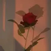 am_abood89