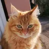 danieleluise