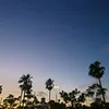 monte_123456