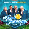 miguevillegas4