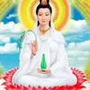 thuythuannguyen0
