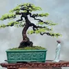 phamhung250