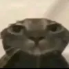 m0derka
