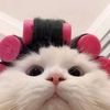 mauryl_124