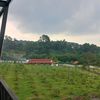 keluhsyukur