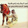 sarshdei0