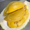calonbapacbapac