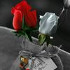 soso121230