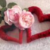 amal_780p