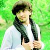 ahmadpopalhakimi