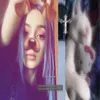nuta_tms
