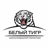 Школа Воздушной гимнастики