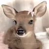exquisiteaeye