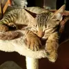 theworldofyuki