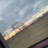 colt_habes