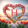 hilina037