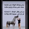 user736776363
