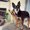 lucyandbernard
