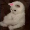 ni__u0