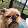 charliefred69