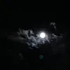 scp173_dggikose