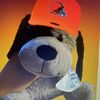 mrcarebear7