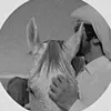 user1236009037968