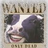 tuscanthecow
