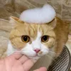 tuyetanhmeomeo