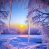 forest.kazhan