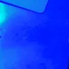 insmugglad08