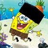 _aqil_alauddin