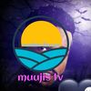 wall_maajid_24