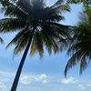 mimaamiami