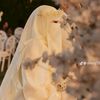 ibtissemrmadhni