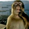 kaif_alone1